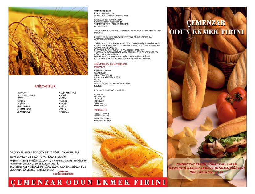 broşür Örnekleri